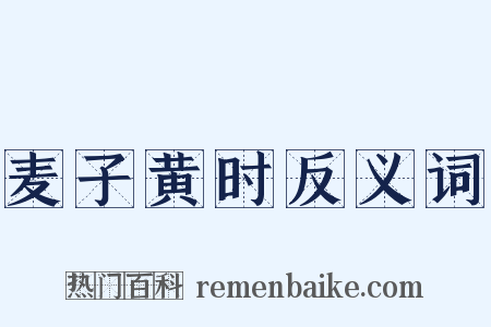麦子黄时反义词是什么意思的图片